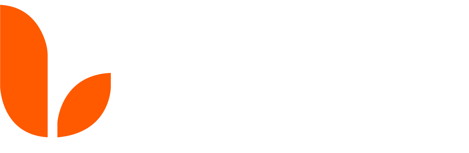 Logo Bloom Factory agenzia web design e marketing digitale a Bosa, Sardegna